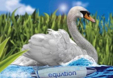 Equation swan