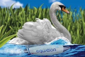 34.Equation Swan-2